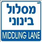 מסלול ביננוני