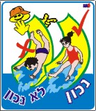 נכון לא נכון