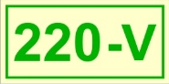 220V