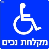 מקלחת נכים