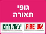 גופי תאורה